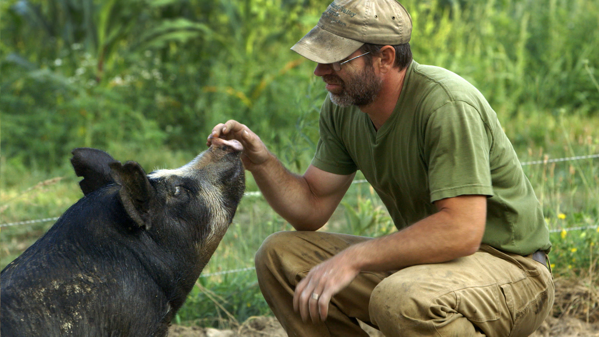 'The Last Pig'